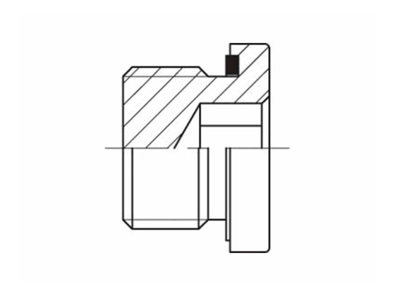 Blindplugg 3/4" BSPP m/packning