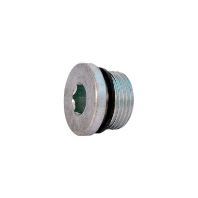 Blindplugg 3/4" BSPP m/packning